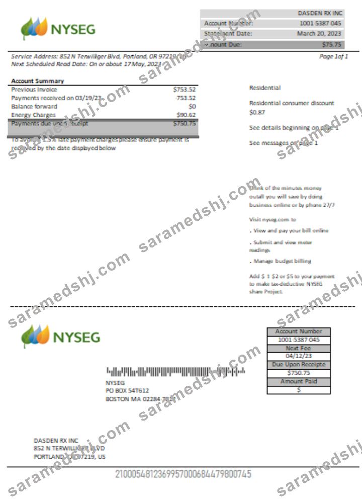 Boston NYSEG electricity utility business bill,  SCR